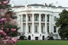 The White House seen past blossoming trees